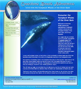 Conscious Breath Adventures: Encounters with the humpback whales of the Silver Bank