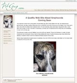Retired Racing Greyhounds: All About Greyhound Dogs